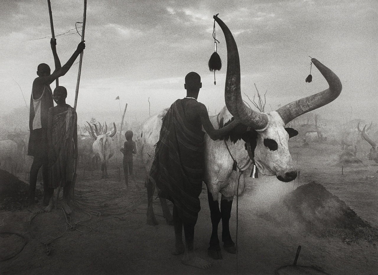 Фотограф Себастио Сальгадо (Sebastiao Salgado)